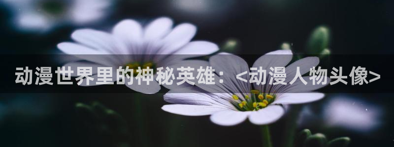 age动漫网官网入口