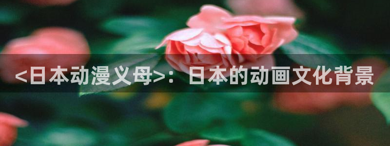 age动漫网官网入口