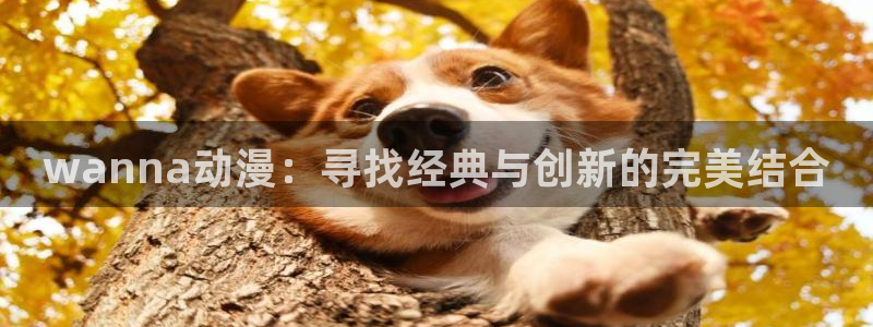 age动漫下载