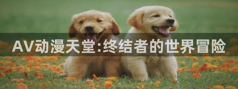 age樱花动漫：AV动漫天堂:终结者的世界冒险