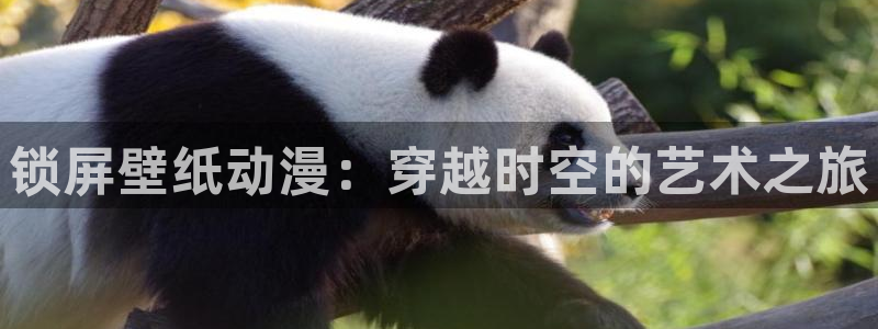 age漫画网：锁屏壁纸动漫：穿越时空的艺术之旅