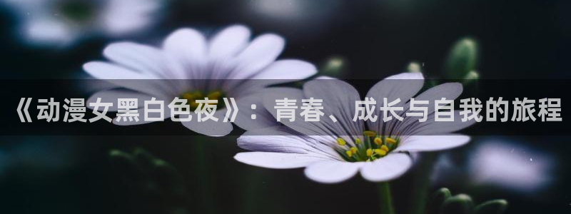 age动漫omofun：《动漫女黑白色夜》：青春、成长与自我的旅程