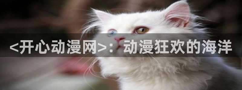 age专注动漫的门户网站：<开心动漫网>：动漫狂欢的海洋