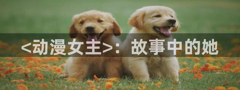 下载age动漫：<动漫女主>：故事中的她