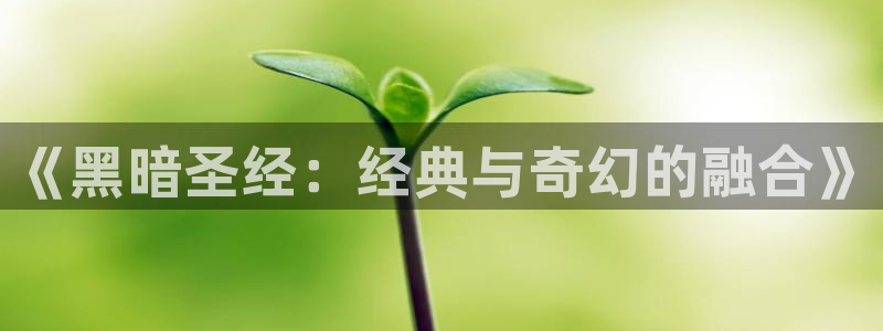 韩国漫画平台kakaopage：《黑暗圣经：经典与奇幻的融合》