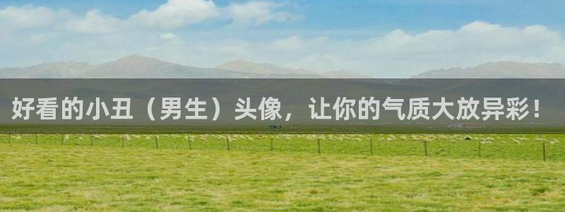 age动漫：好看的小丑（男生）头像，让你的气质大放异彩！