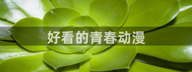 age动漫网