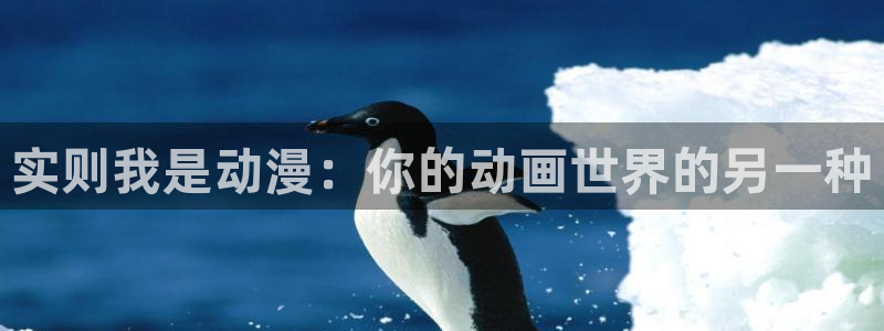 age漫画网