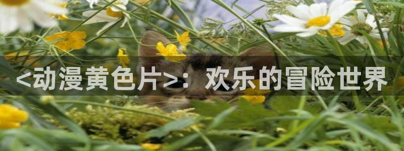 age动漫正版网