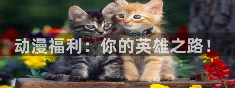 age动漫下载网：动漫福利：你的英雄之路！