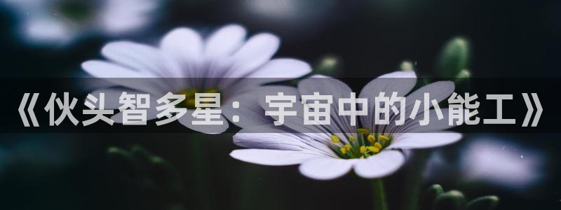 colamanage漫画：《伙头智多星：宇宙中的小能工》