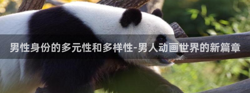 age动漫官网入口老版本：男性身份的多元性和多样性-男人动画世界的新篇章